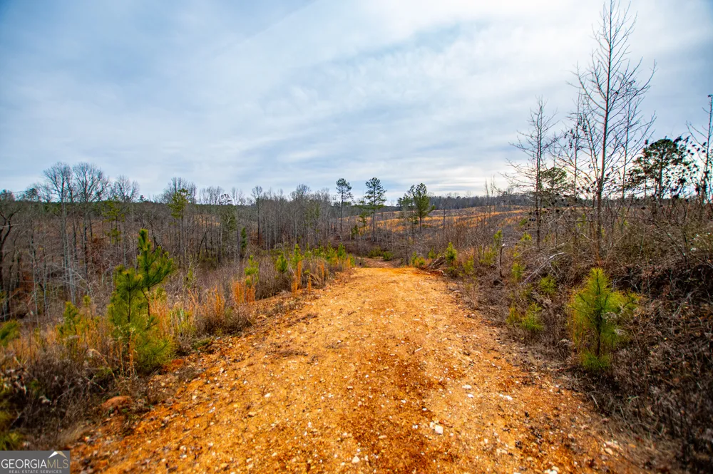 1365 County road 290 Muscadine, AL 36269