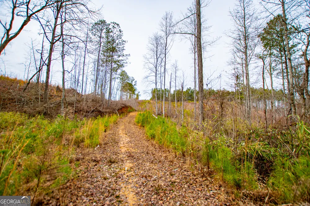 1365 County road 290 Muscadine, AL 36269