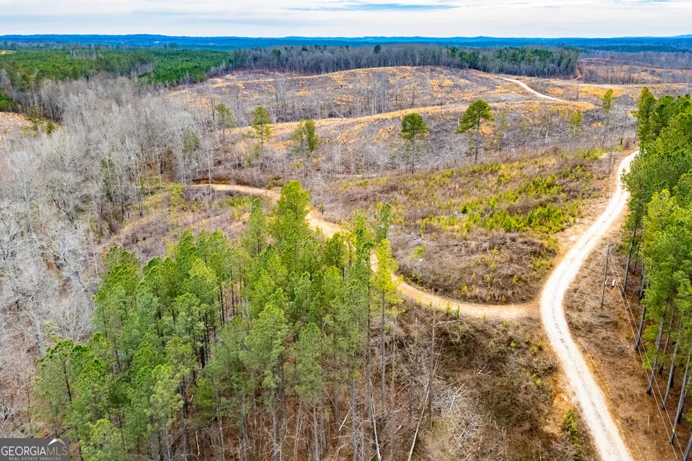 1365 County road 290 Muscadine, AL 36269