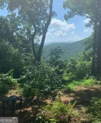 1900 Long Ridge RD Hiawassee, GA 30546
