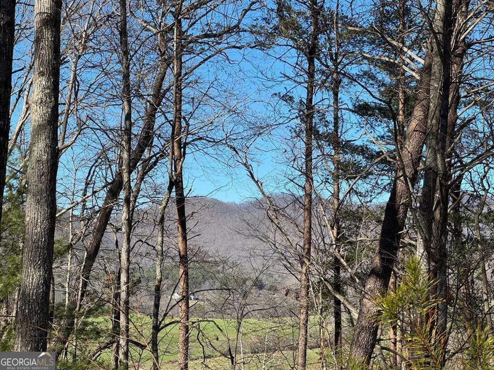 74 Timber LN Blairsville, GA 30512
