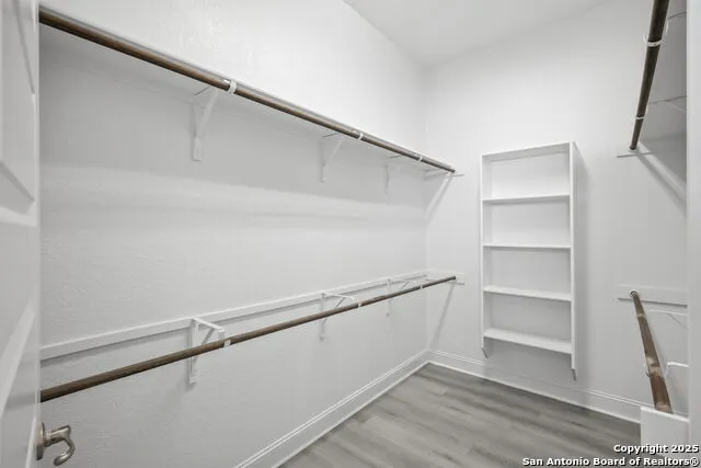 139 Bedingfeld Shavano Park, TX 78231