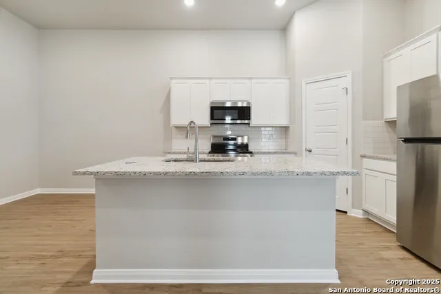 492 Caymus Dr Buda, TX 78610