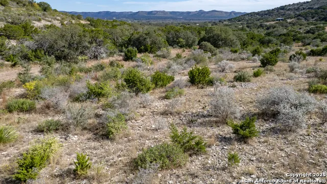 22189 State Hwy 55 Uvalde, TX 78801
