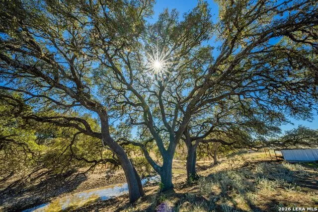 300 Peterson Farm Rd Kerrville, TX 78028