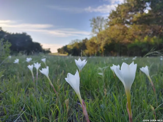 300 Peterson Farm Rd Kerrville, TX 78028
