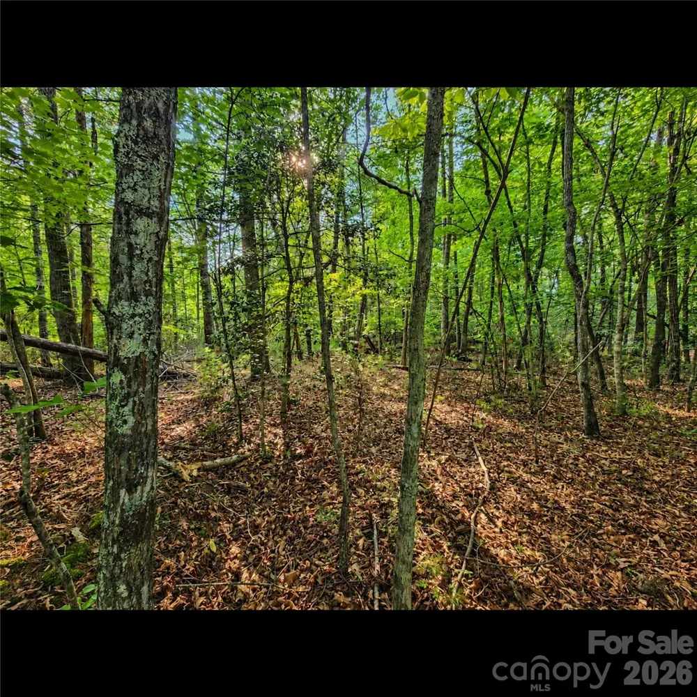 547 James View Road Marion, NC 28752
