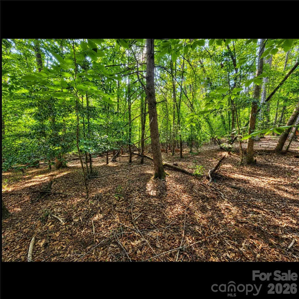 547 James View Road Marion, NC 28752