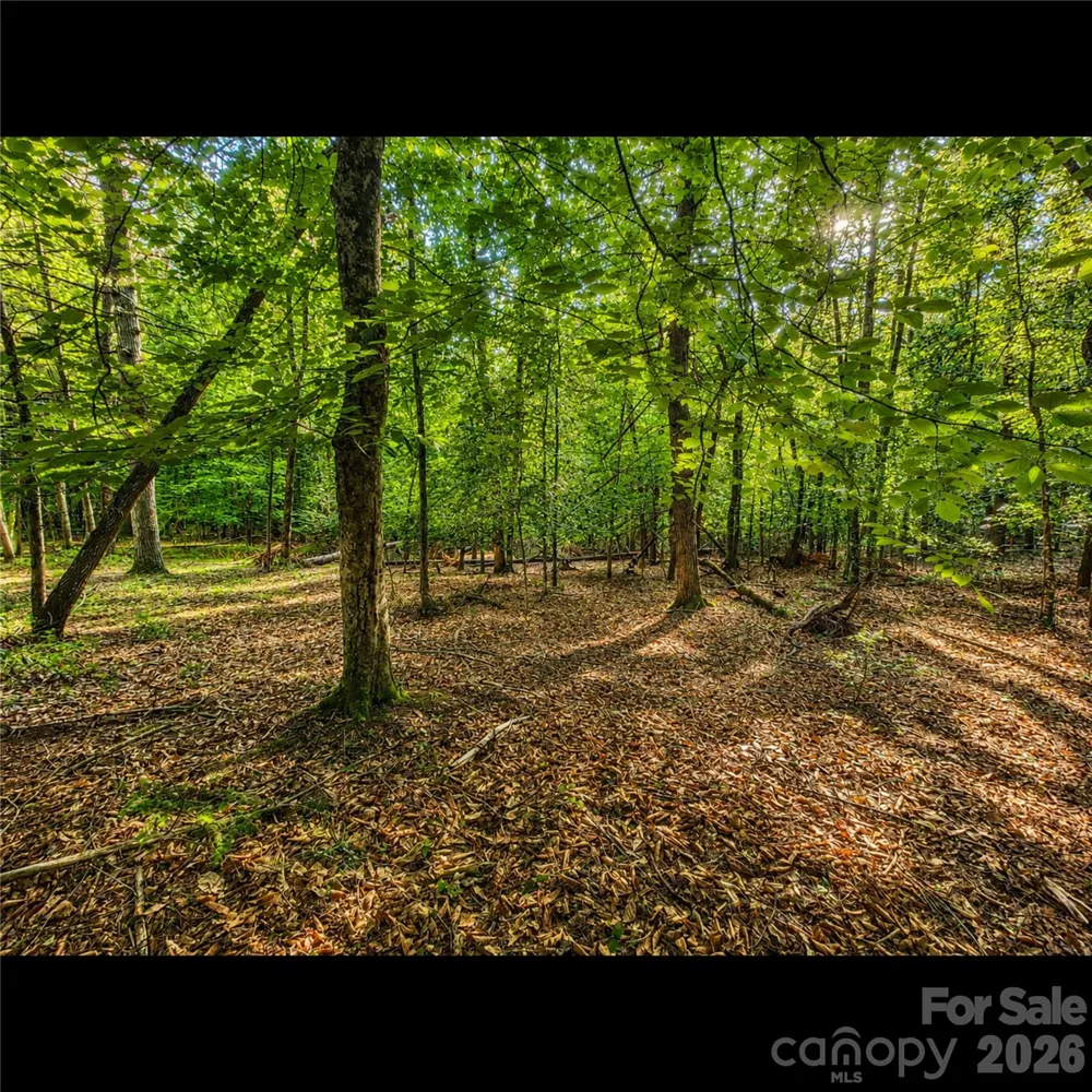 547 James View Road Marion, NC 28752