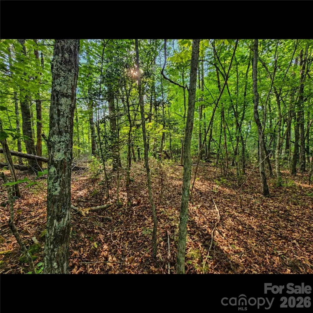 547 James View Road Marion, NC 28752