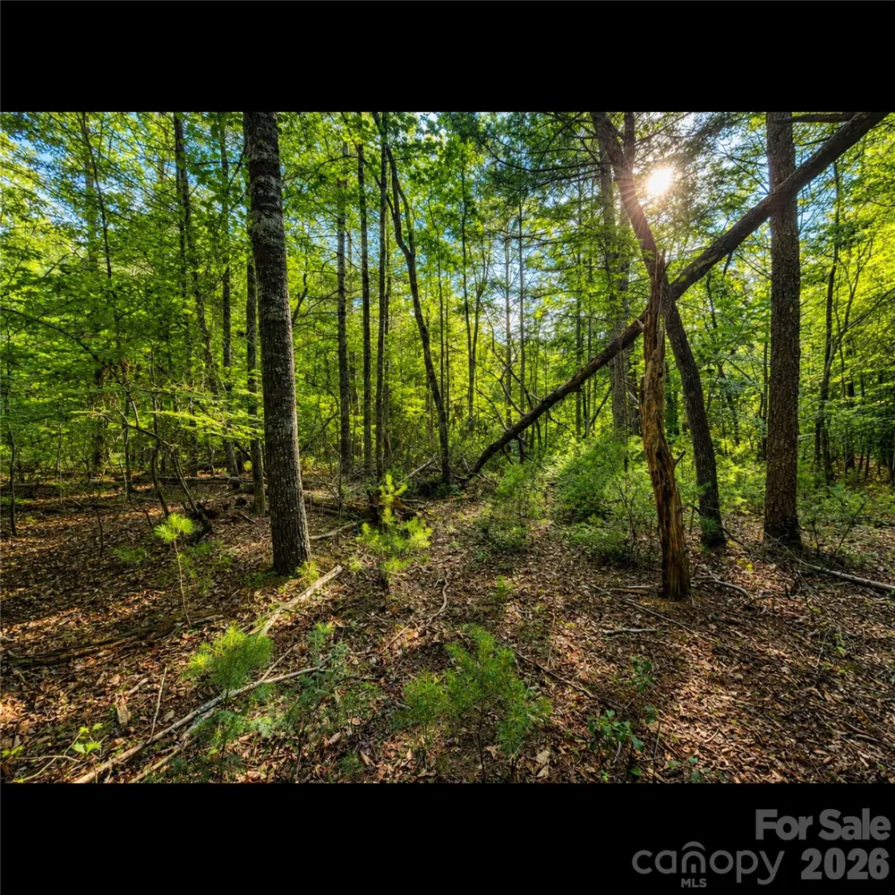 547 James View Road Marion, NC 28752