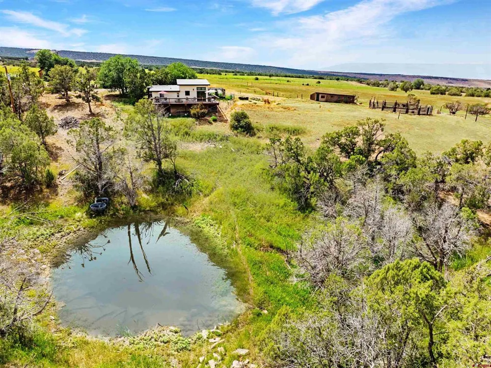 31807 B50 ROAD Crawford, CO 81415