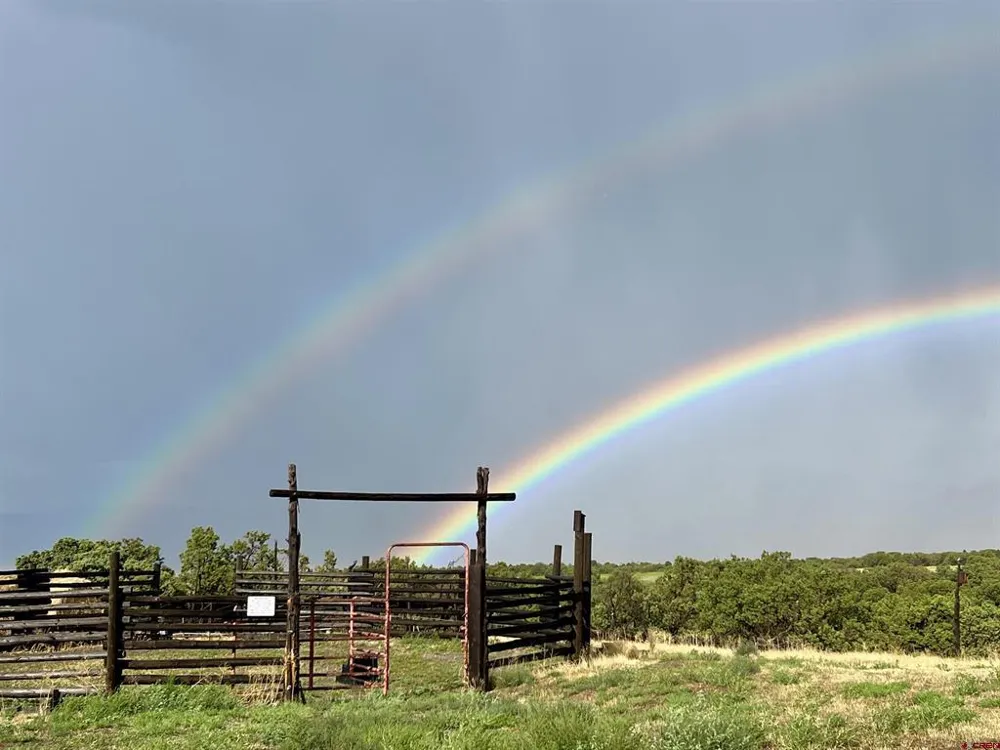 31807 B50 ROAD Crawford, CO 81415