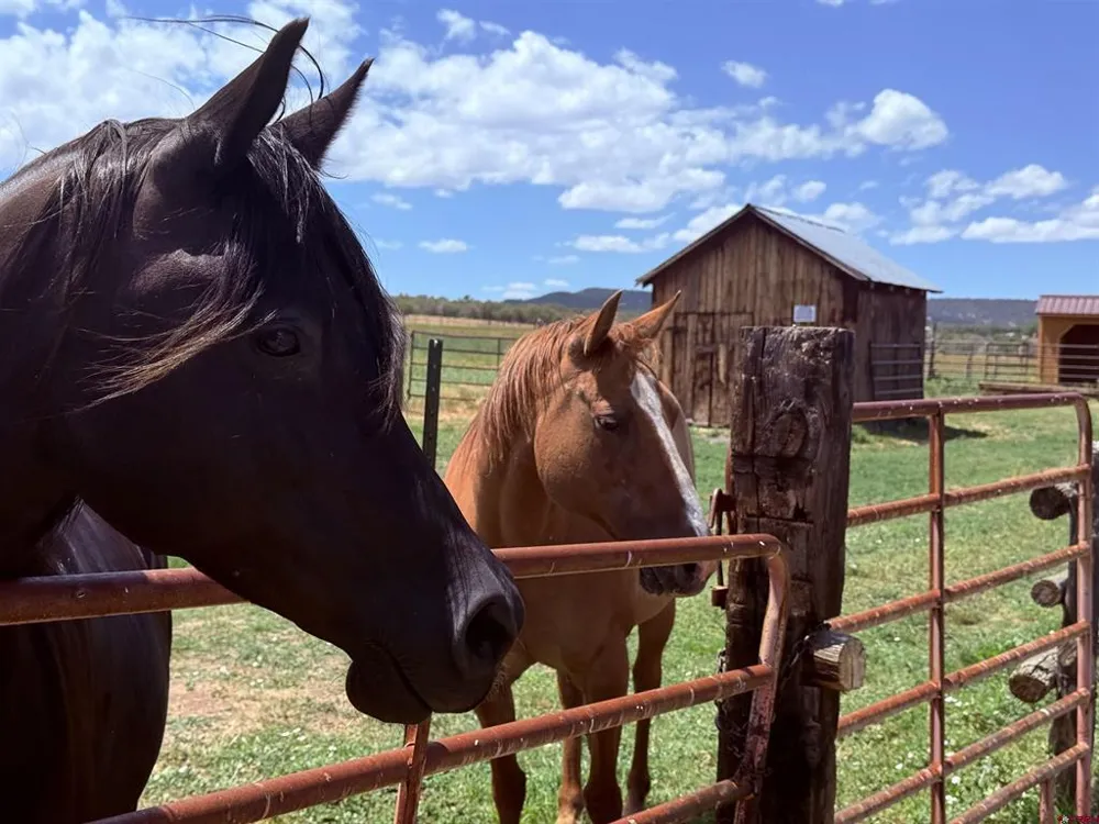 31807 B50 ROAD Crawford, CO 81415