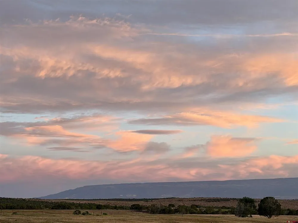 31807 B50 ROAD Crawford, CO 81415