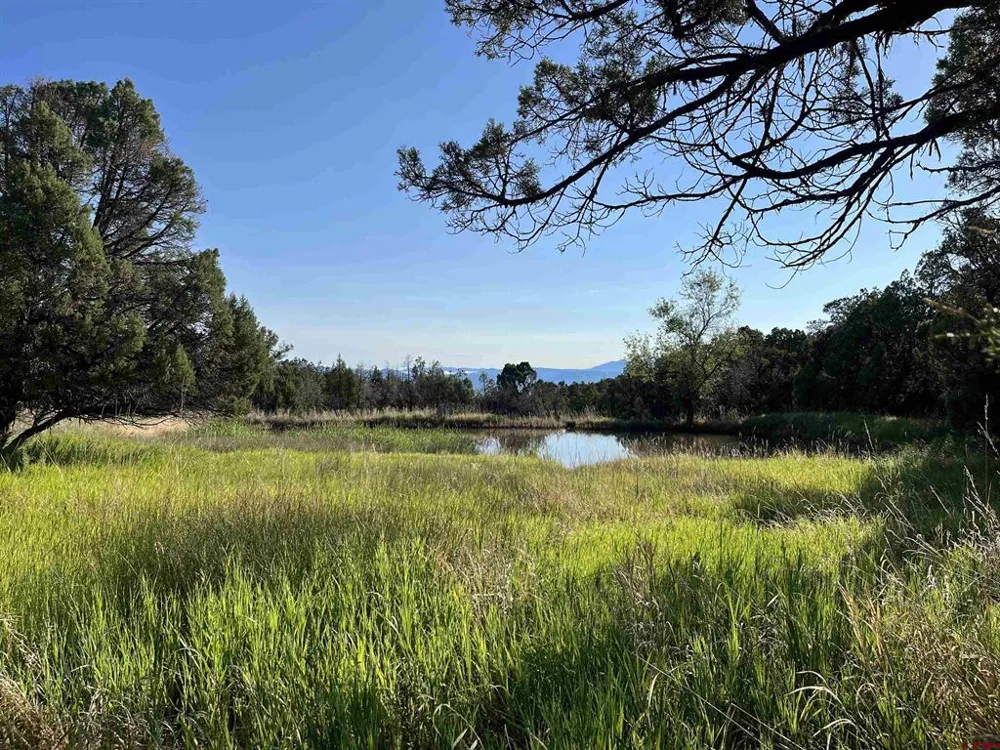 31807 B50 ROAD Crawford, CO 81415