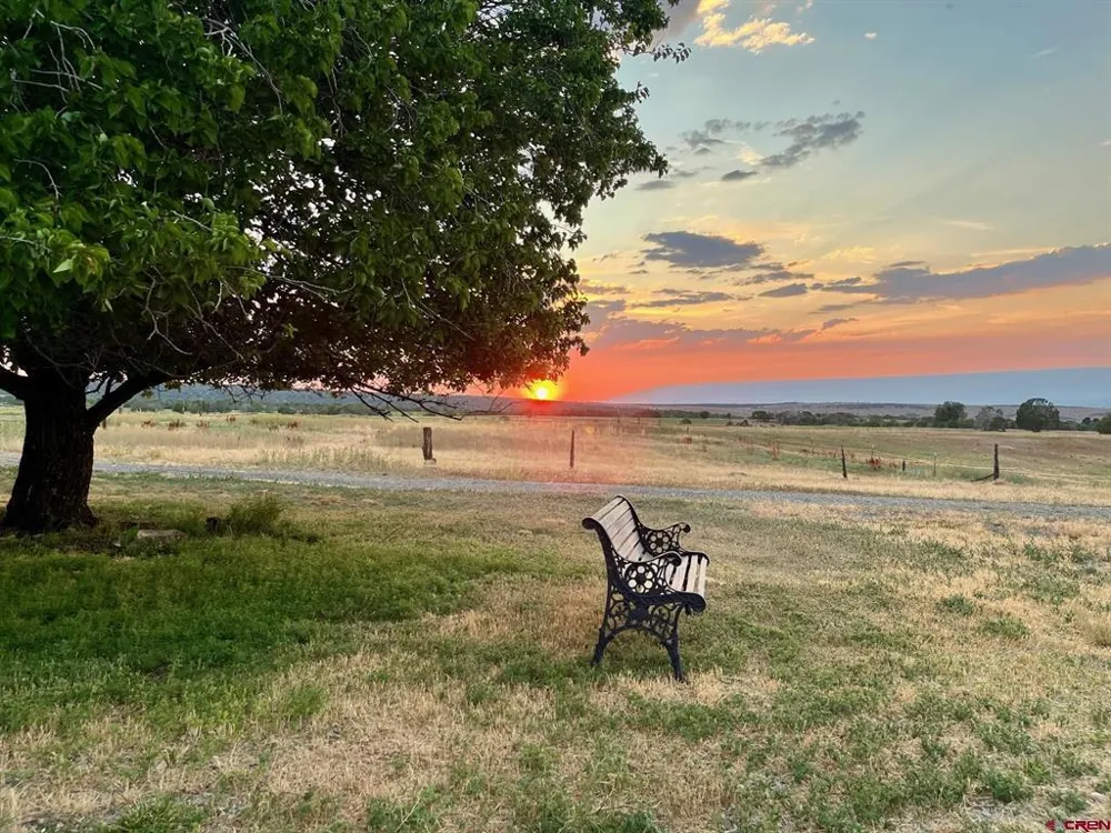 31807 B50 ROAD Crawford, CO 81415