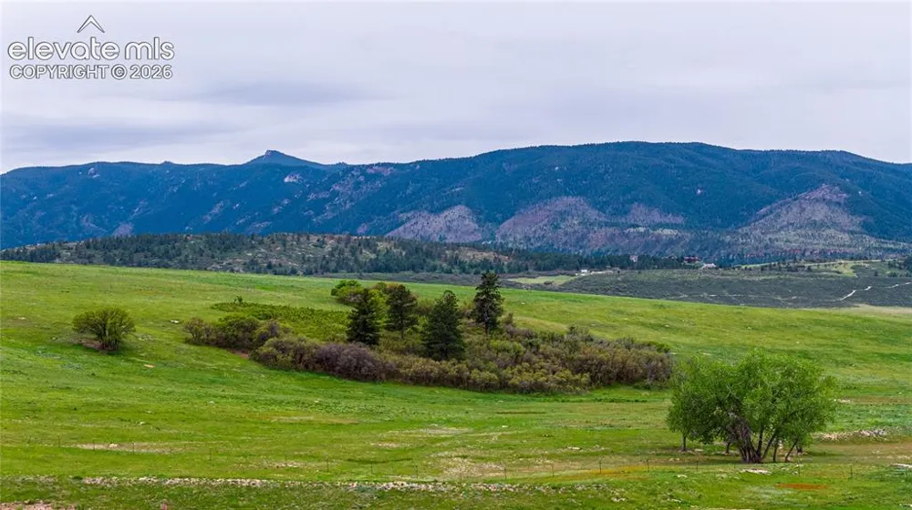 3282 Tomah Road Larkspur, CO 80118