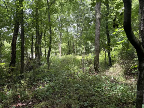 Bellfounte Road NE