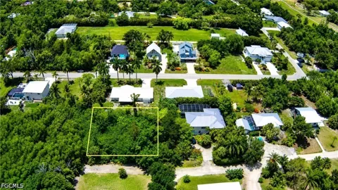 Georgiana Drive