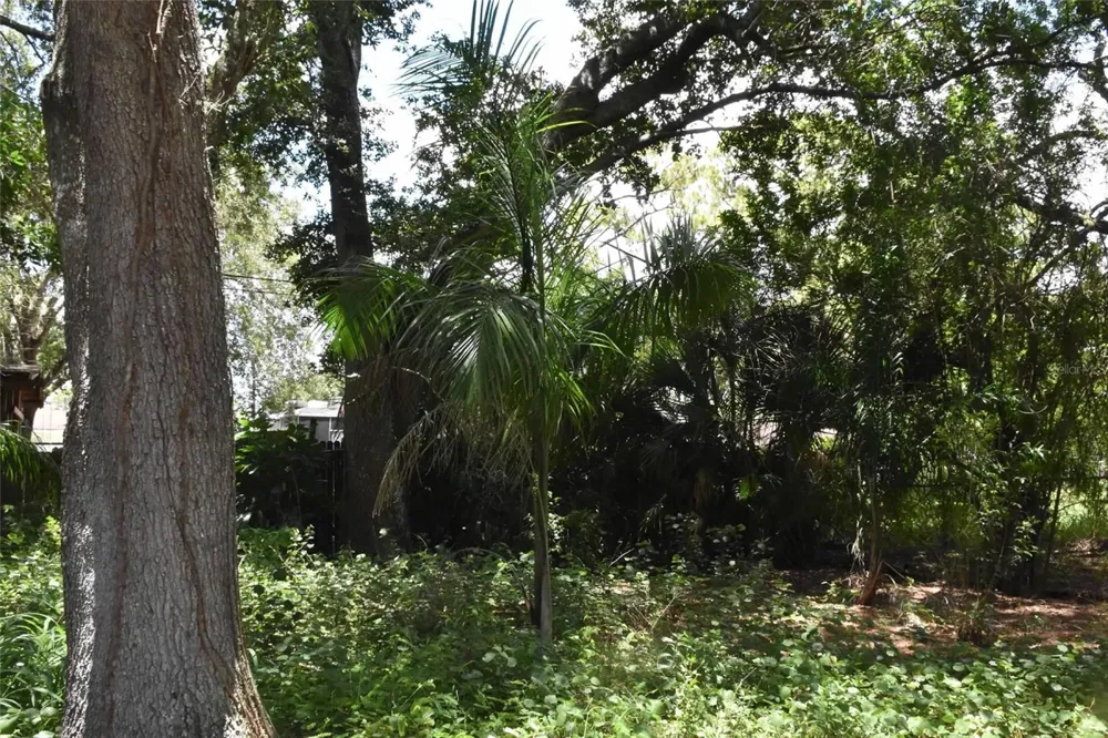 907 PINE STREET Immokalee, FL 34142