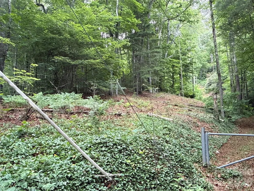 9999 Sunset Drive Black Mountain, NC 28711