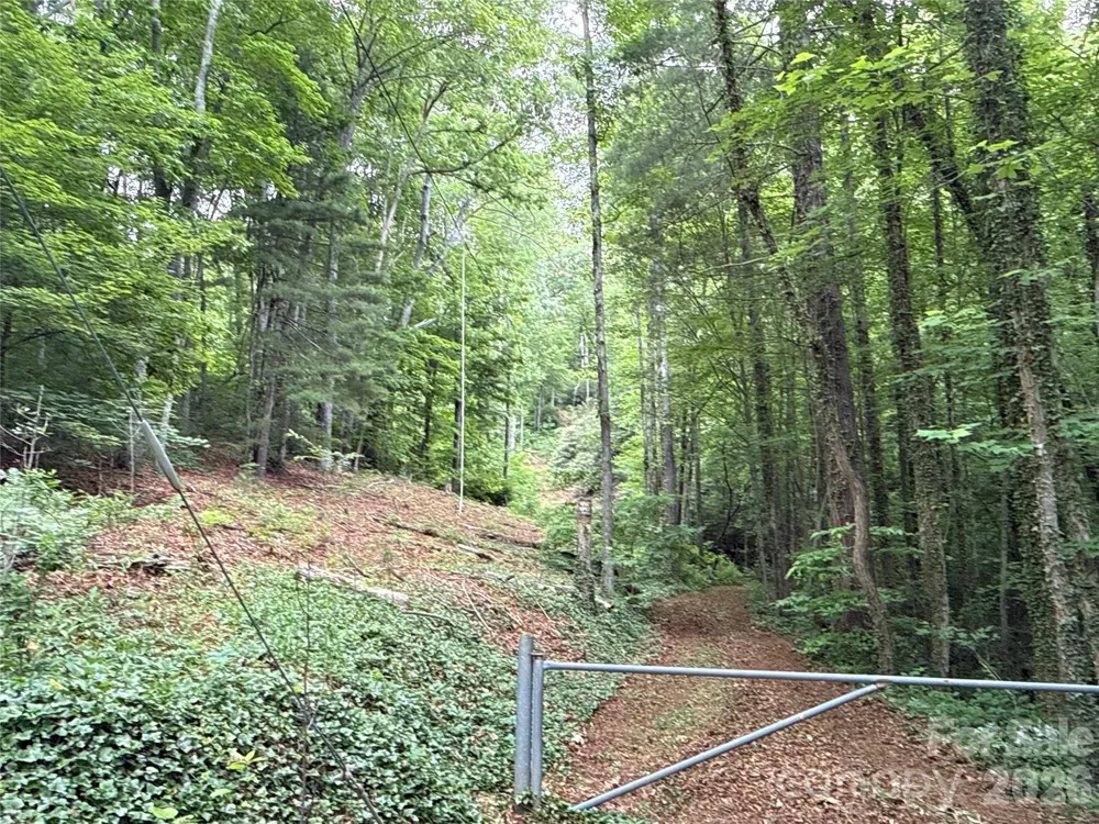 9999 Sunset Drive Black Mountain, NC 28711