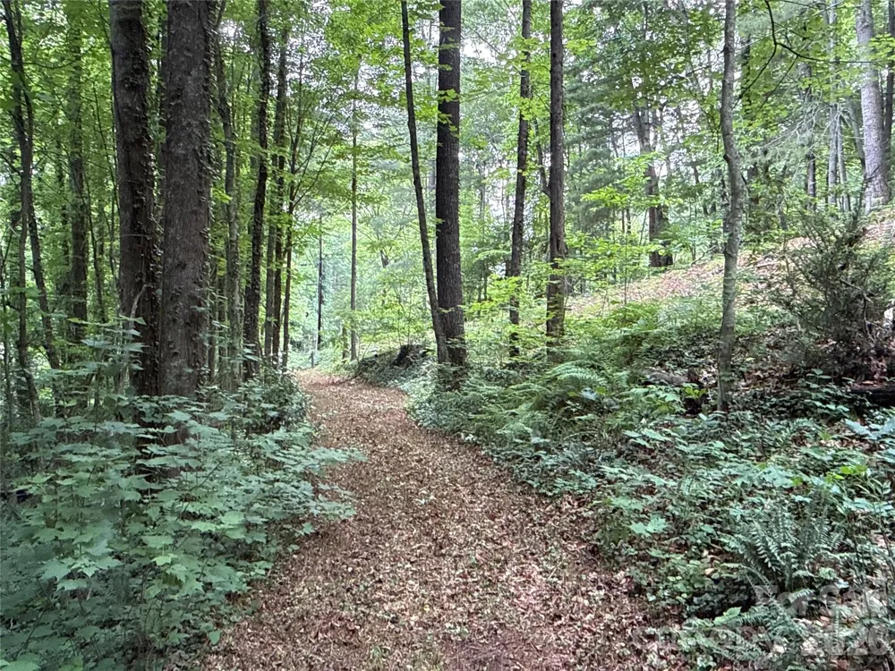 9999 Sunset Drive Black Mountain, NC 28711