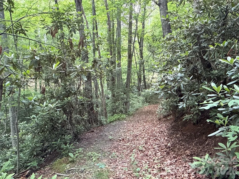9999 Sunset Drive Black Mountain, NC 28711