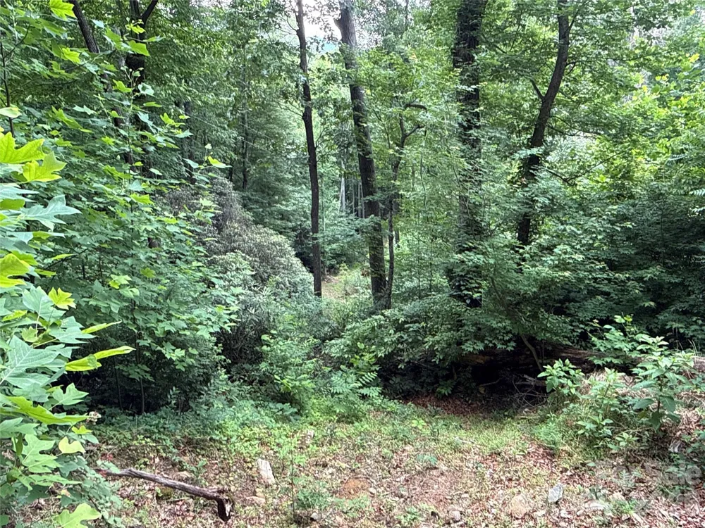 9999 Sunset Drive Black Mountain, NC 28711