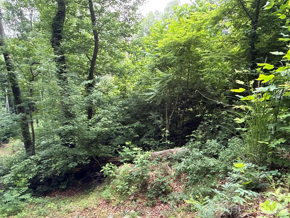 9999 Sunset Drive Black Mountain, NC 28711