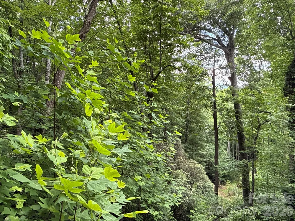 9999 Sunset Drive Black Mountain, NC 28711