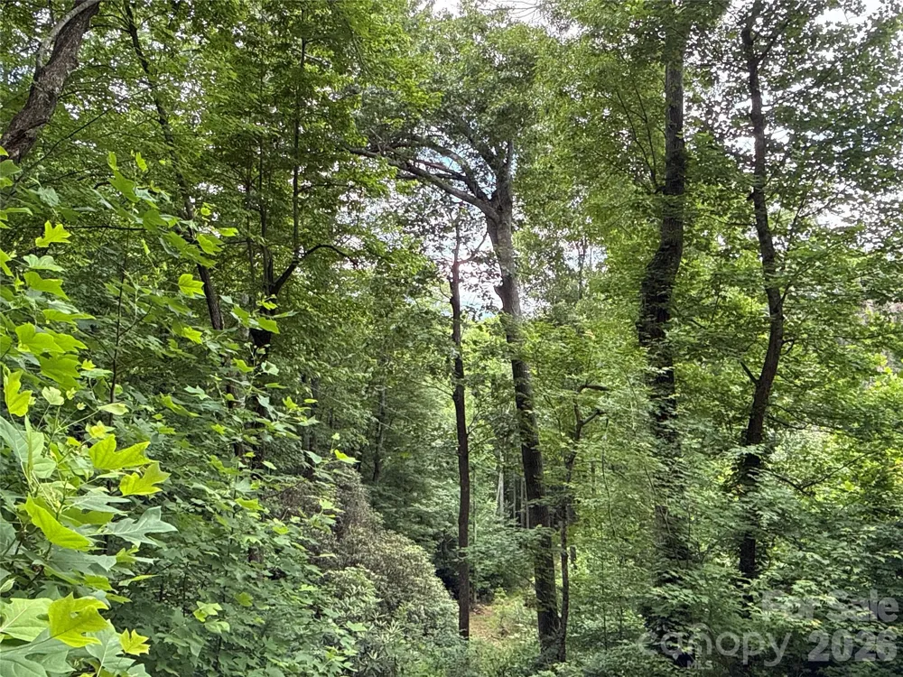 9999 Sunset Drive Black Mountain, NC 28711