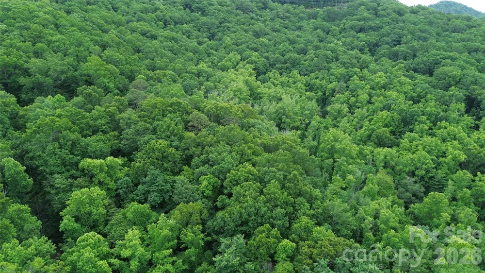 9999 Sunset Drive Black Mountain, NC 28711