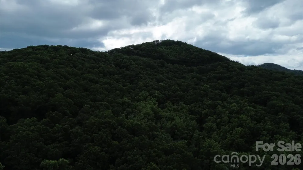 9999 Sunset Drive Black Mountain, NC 28711