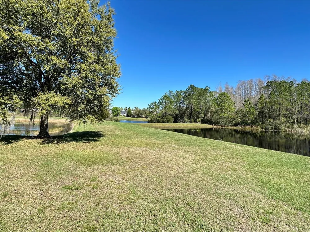 8120 TURKEY HILL COURT Tampa, FL 33647