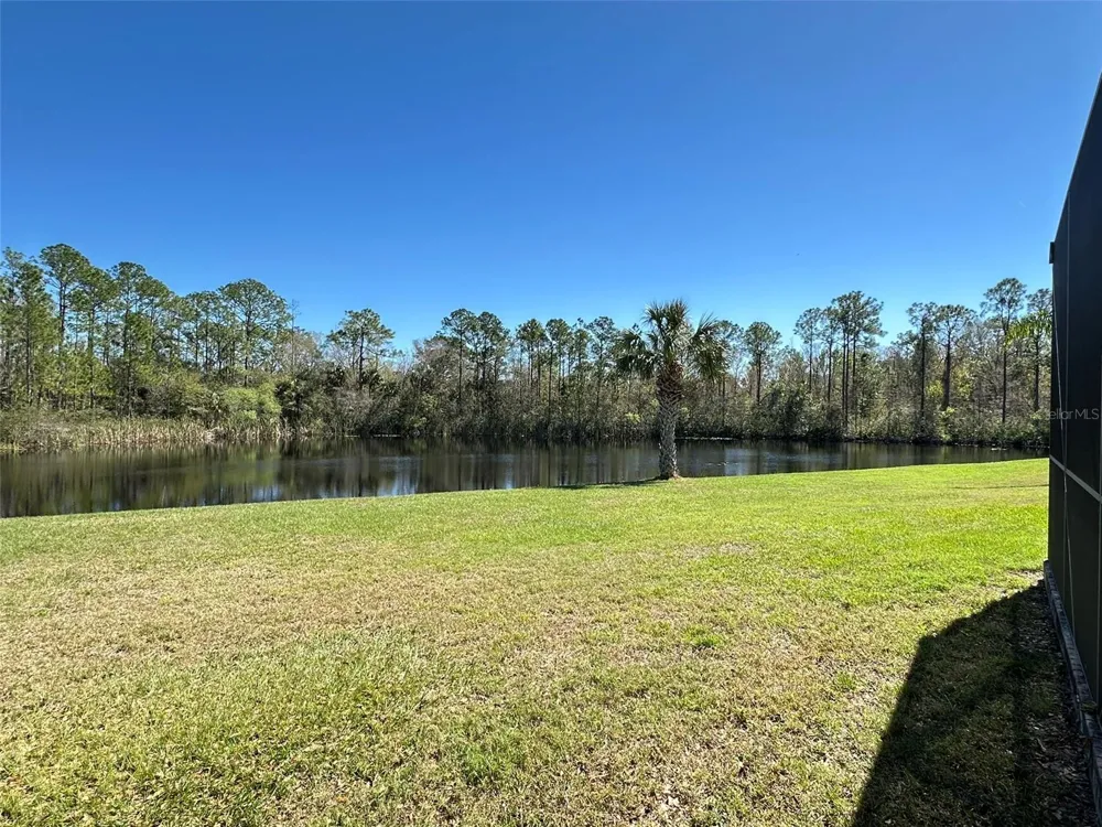 8120 TURKEY HILL COURT Tampa, FL 33647