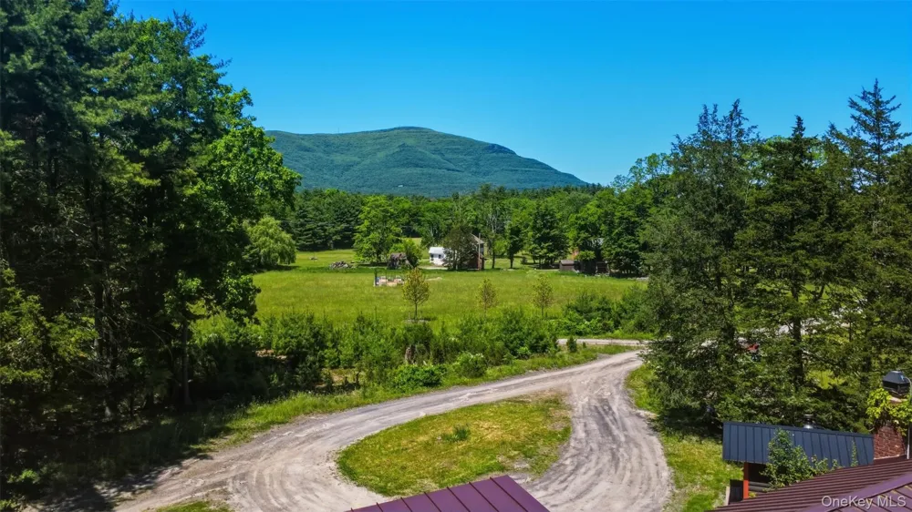 5 - 7 Downer Lane Woodstock, NY 12498