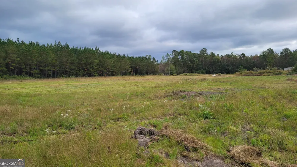88 Rogers Break RD Jesup, GA 31546