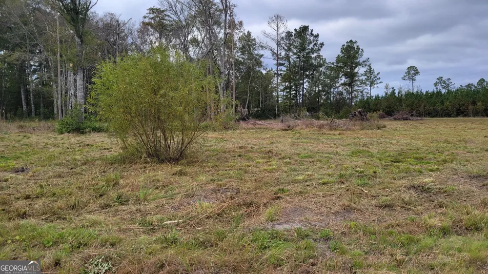 88 Rogers Break RD Jesup, GA 31546