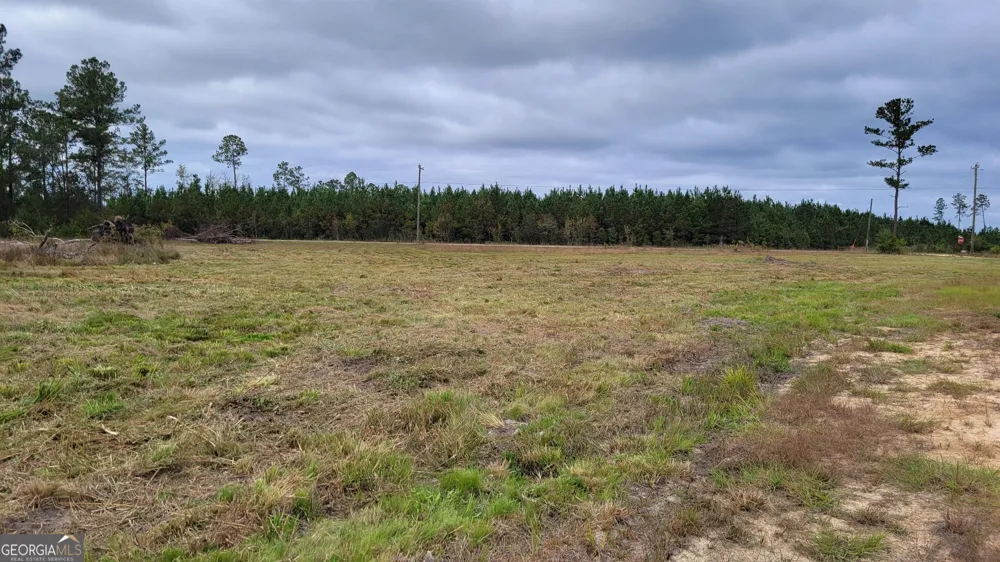 88 Rogers Break RD Jesup, GA 31546