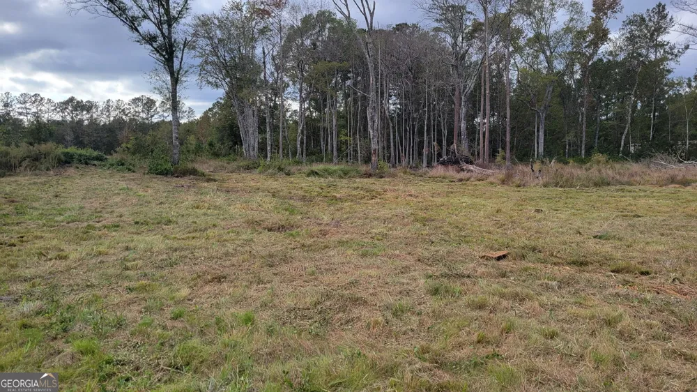 88 Rogers Break RD Jesup, GA 31546