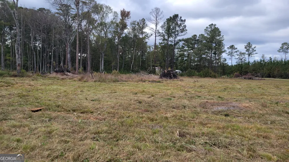 88 Rogers Break RD Jesup, GA 31546