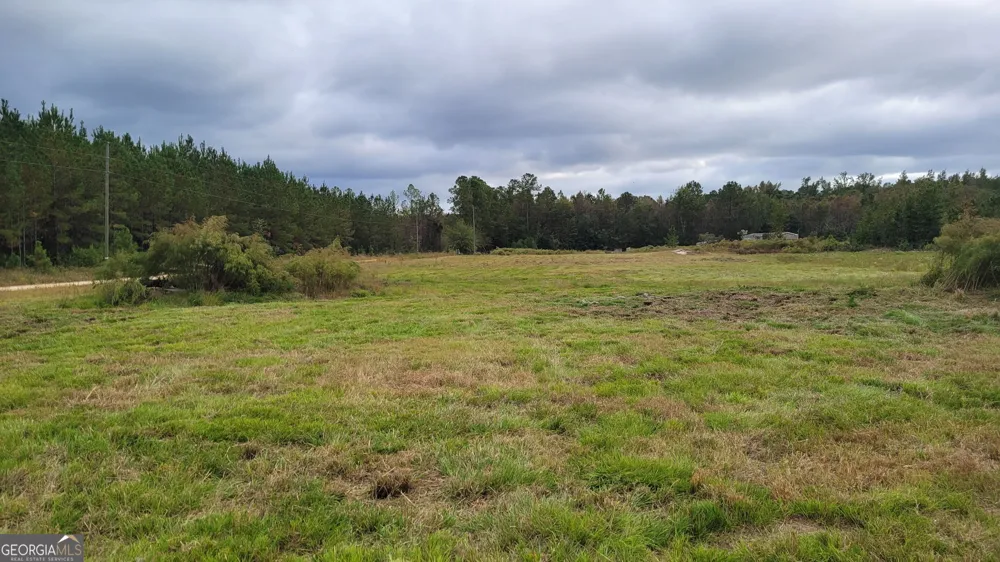 88 Rogers Break RD Jesup, GA 31546