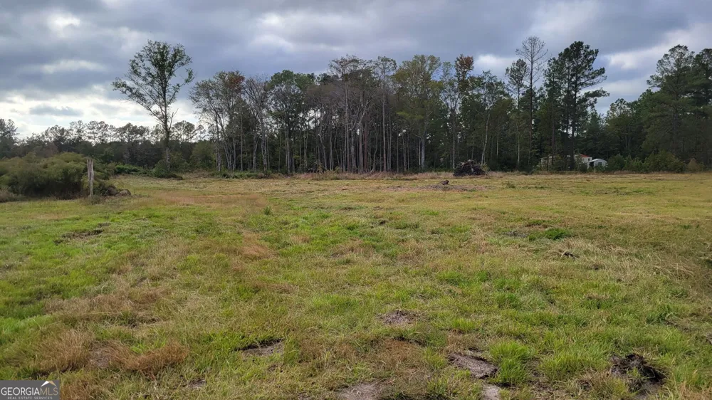 88 Rogers Break RD Jesup, GA 31546