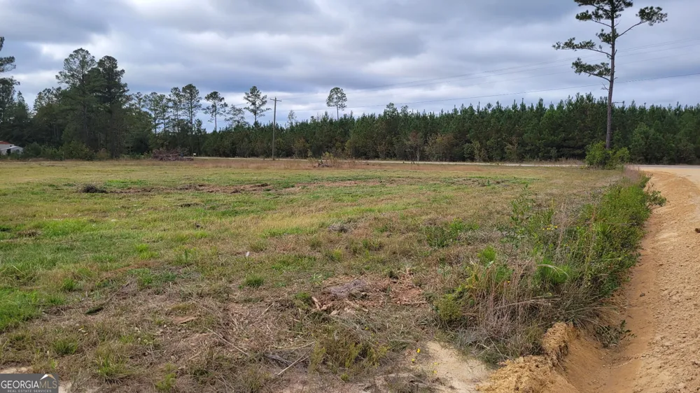 88 Rogers Break RD Jesup, GA 31546