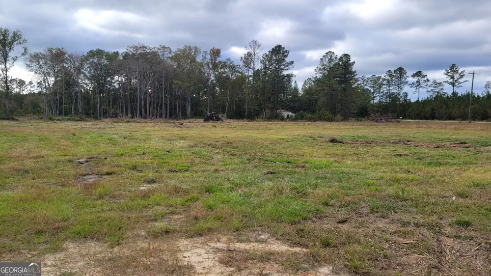 88 Rogers Break RD Jesup, GA 31546