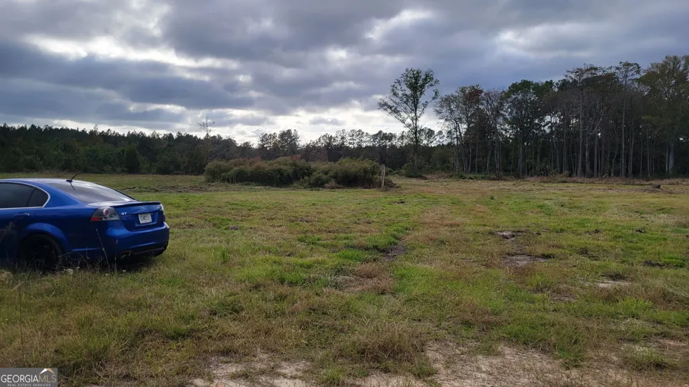 88 Rogers Break RD Jesup, GA 31546