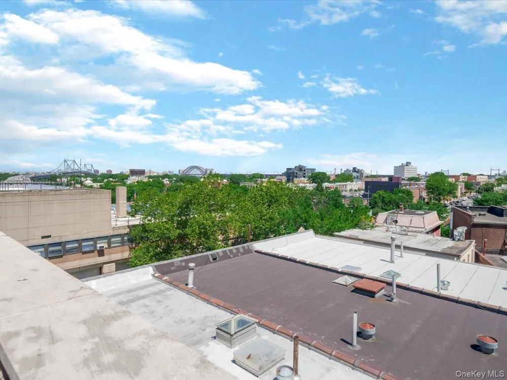 2519 35th Street #4C Astoria, NY 11103