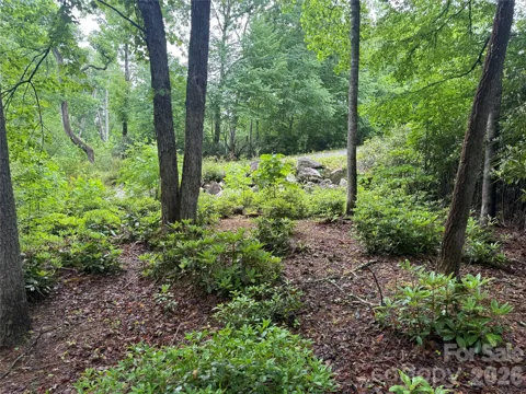 TBD Dogwood Trail